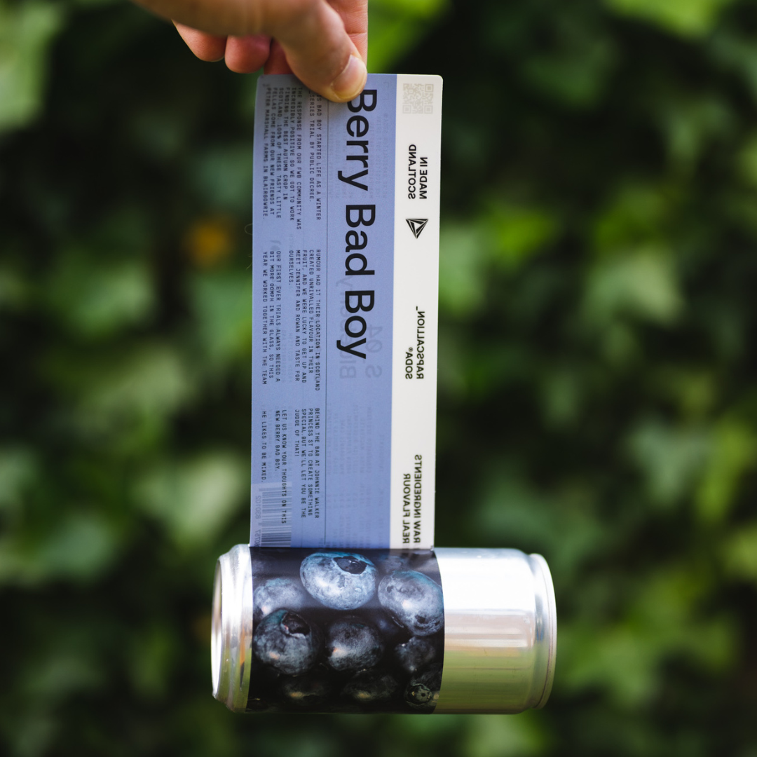 A Bit About Our Bluebs