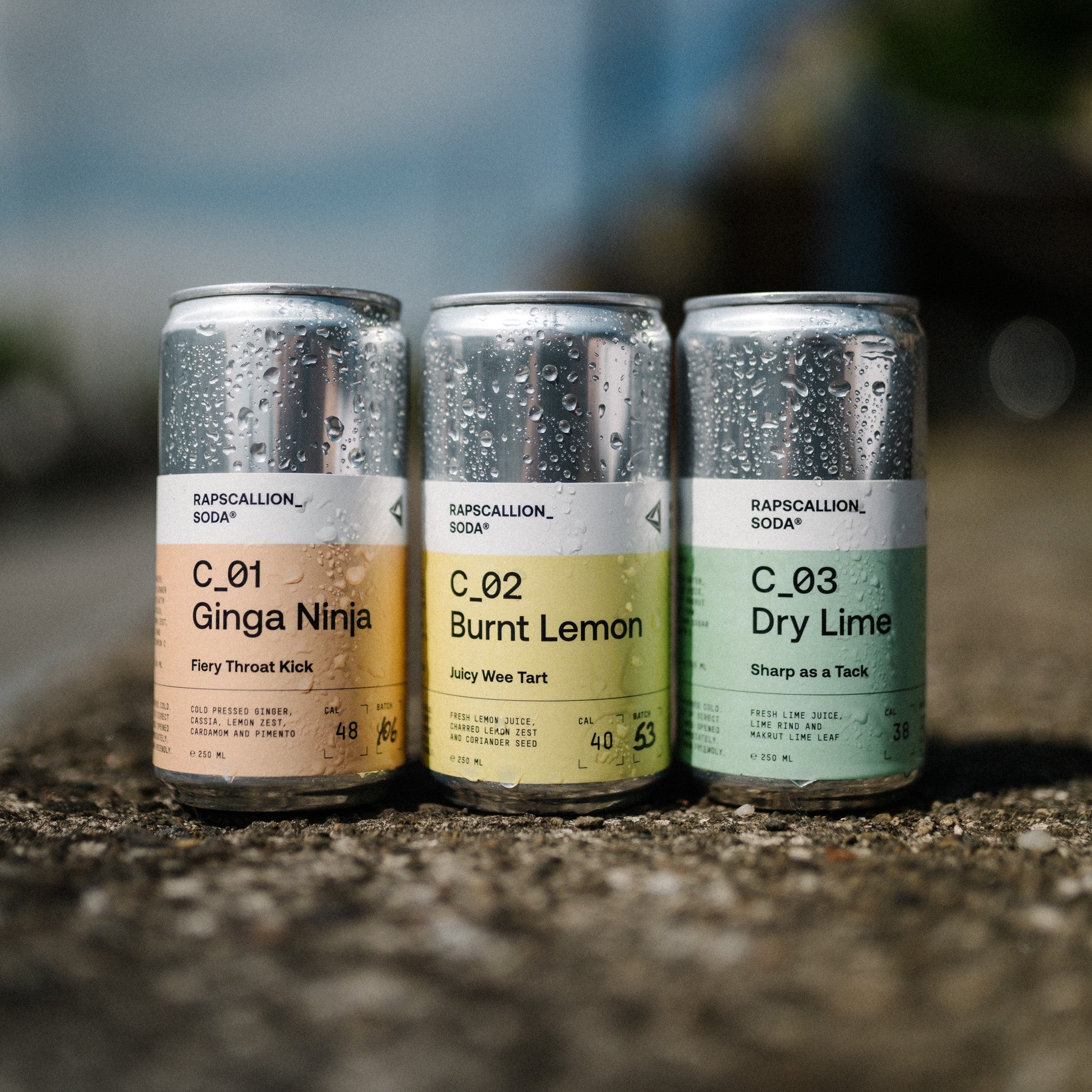 Ginga Ninja Deep Dive