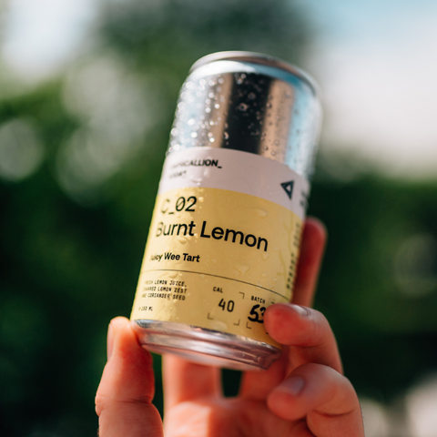 C_ Three_48| Ginga + Lemon + Lime | 48 Pack Fridge Filler