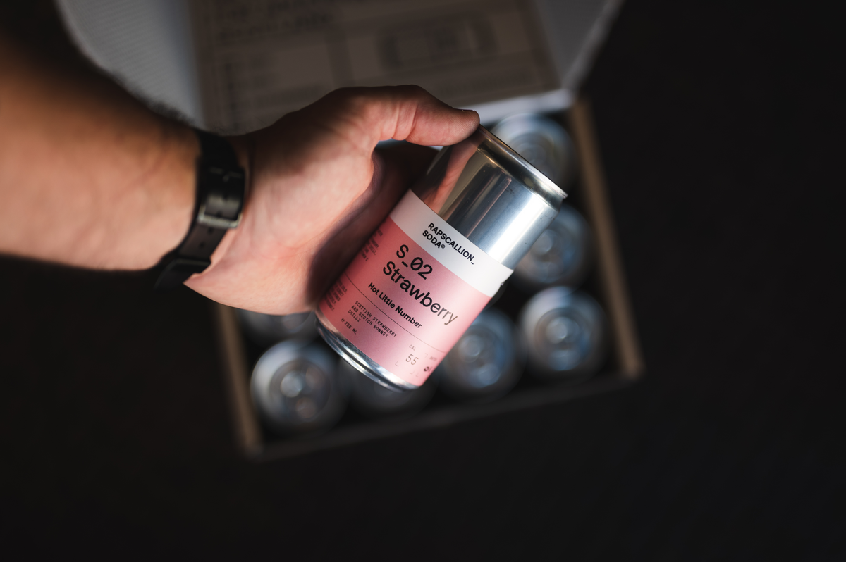 Fresh Fruit Soda // 12 Pack Ex. Salt Water
